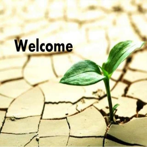 abiotic stress in vitro