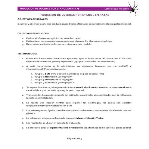 Inducción de úlceras por etanol en ratas