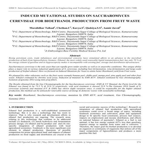 Production of banana alcohol and utilization of banana residue | PDF