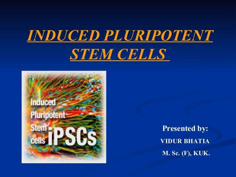 Induced pluripotent stem cells