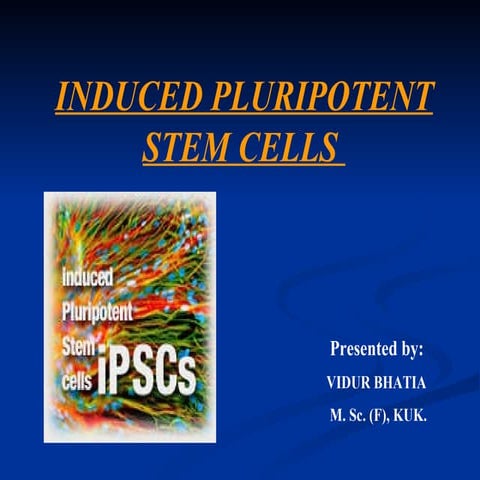 Induced pluripotent stem cells 