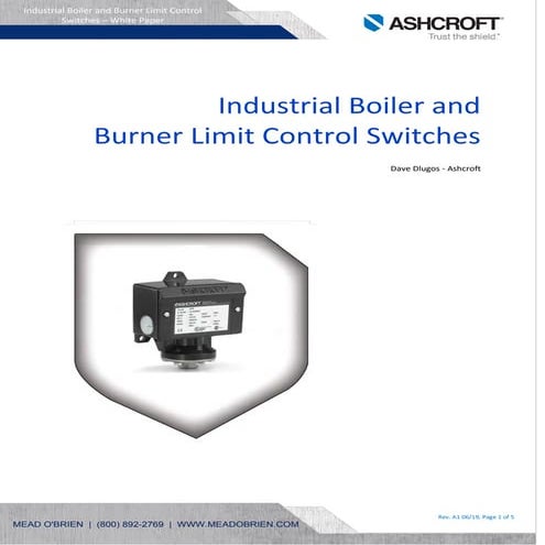 Industrial Boiler and Burner Limit Control Switches