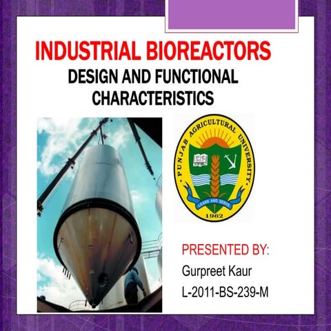 Industrial bioreactors