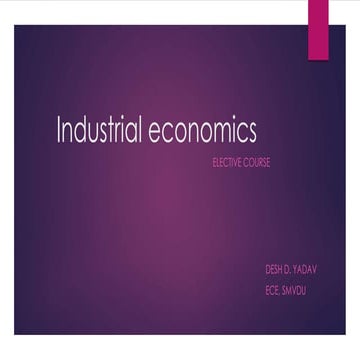Industrial Economics(Elective Course)