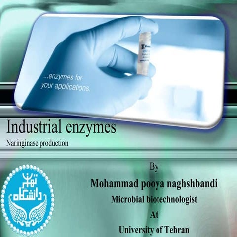 Industrial enzymes ( naringinase )