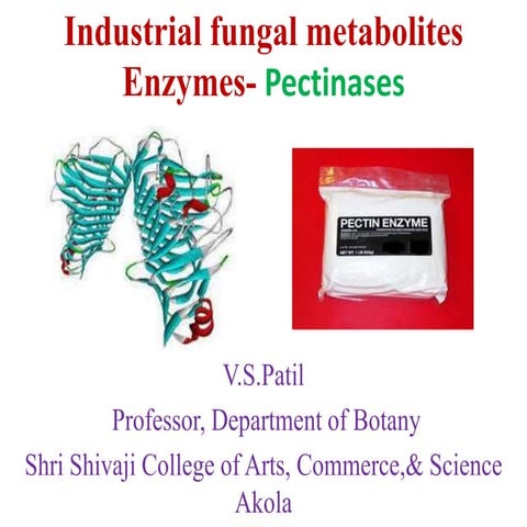 Industrial fungal metabolites enzymes pectinases | PPTX