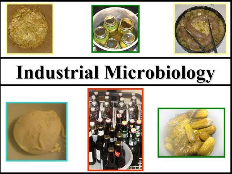 Industrial microbiology