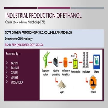 Production of Ethanol by Gavin Chen | PDF
