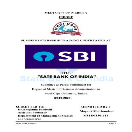 Summer Internship Report 2019