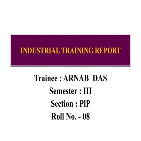 Industrial training report