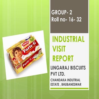 Industrial visit report