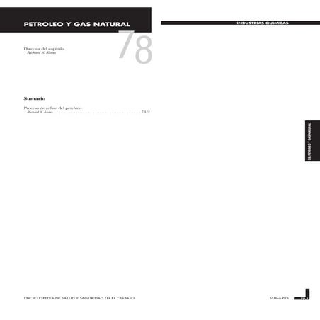 Industria petroleo y gas natural | PDF