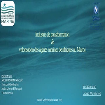 Industrie de transformation et valorisation des algues marines benthiques au Maroc. (2).pptx