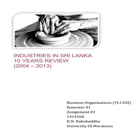 Industries in Sri Lanka 10 years Review (2004-2013) 