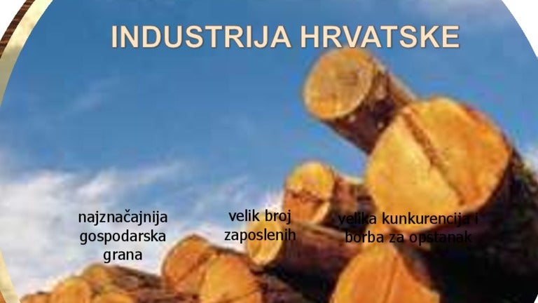 Laka industrija hrvatska