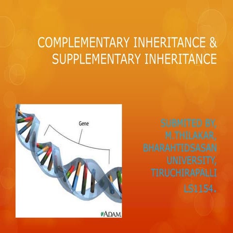 SUPPLEMENTARY AND COMPLEMENTARY INHERITANCES