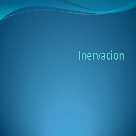 Inervacion 