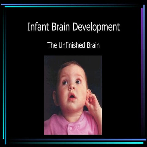 Infant Brain Development