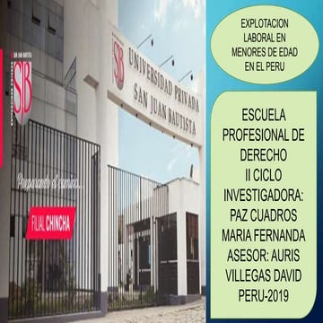 Artículo Científico - EXPLOTACIÓN LABORAL EN MENORES DE EDAD EN EL PERÚ- Fernanda Paz