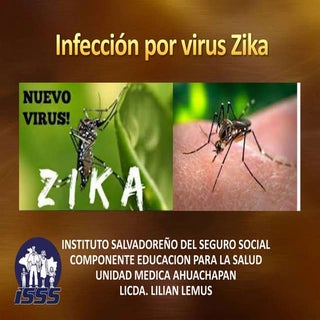 Infección por virus zika