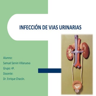 Infeccion De Vias Urinarias