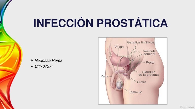 Tratamentul prostatitei cu un jet de castor