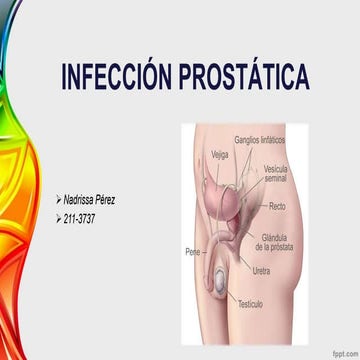 Infección Prostática 