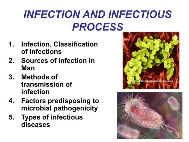 INFECTION ppt INFECTION ppt