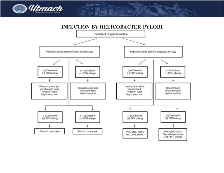Infection by helicobacter pylori algorithm