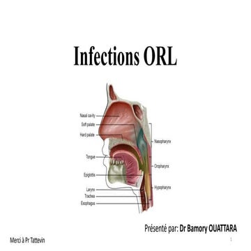 infections OttoRhinoLaryngologie antibiotherapie .pptx
