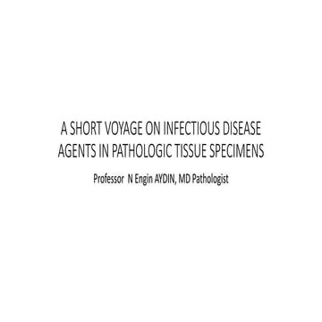 Infectious agents in tissues 
