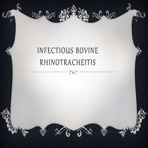 Infectious bovine rhinotracheitis