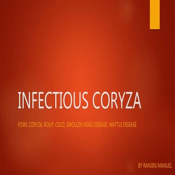 Infectious coryza/ fowl coryza
