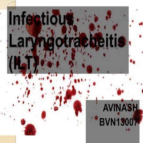 Infectiouslaryngotrachitisilt 141109163308-conversion-gate02