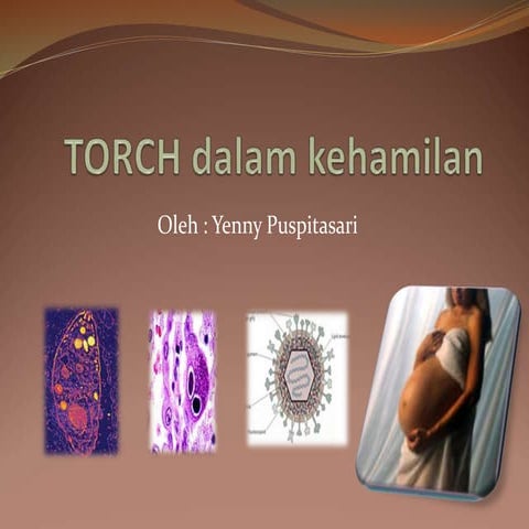 Infeksi perinatal | PPT
