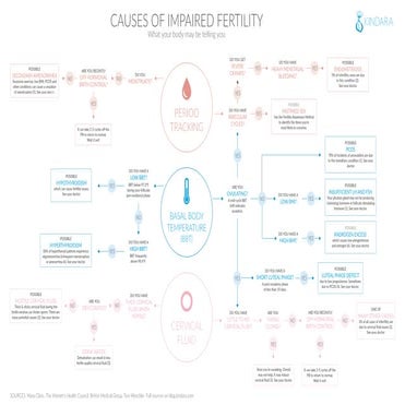 Infertility flowchart