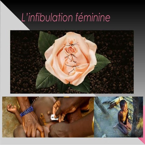 Persentation Zone P Ii | PPT