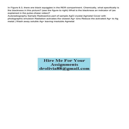 In Figure 83 there are black squiggles in the RER compar.pdf