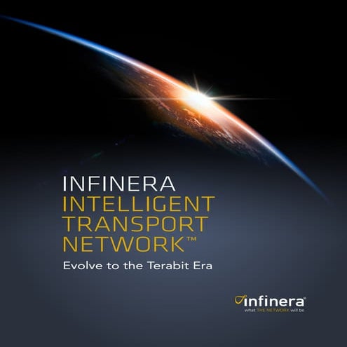 Infinera Intelligent Transport Networks