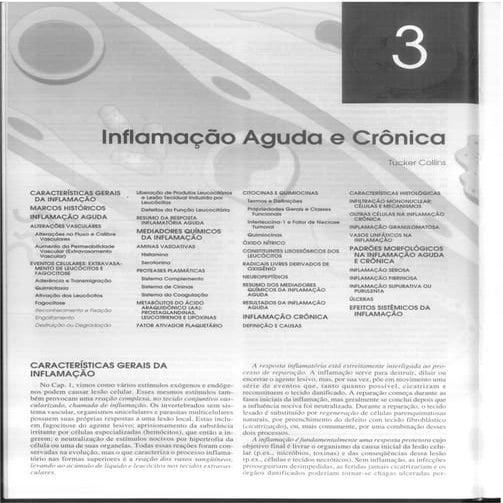 Inflamacao Aguda e Cronica