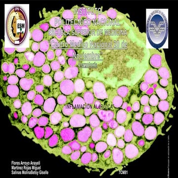Inflamación alergica