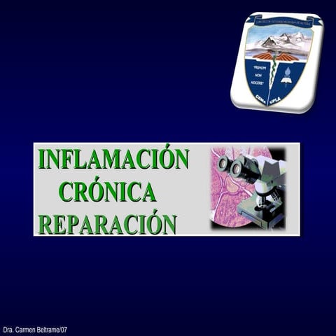 InflamacióN Cronica