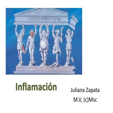 Inflamación