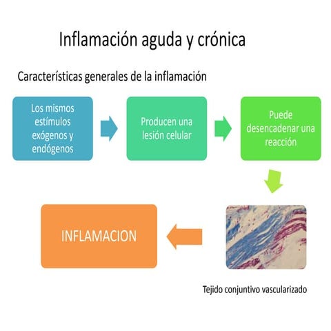 Inflamacion aguda y cronica.