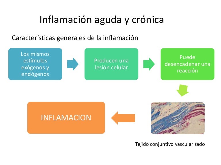 INFLAMACION AGUDA Y CRONICAUNSCH