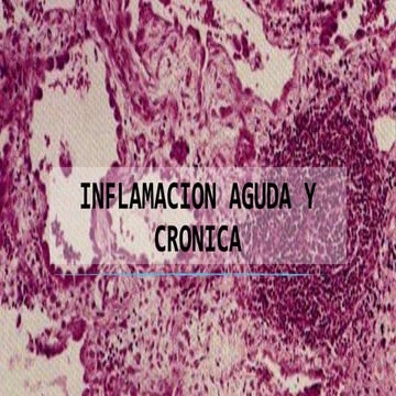 Inflamacion aguda y cronica