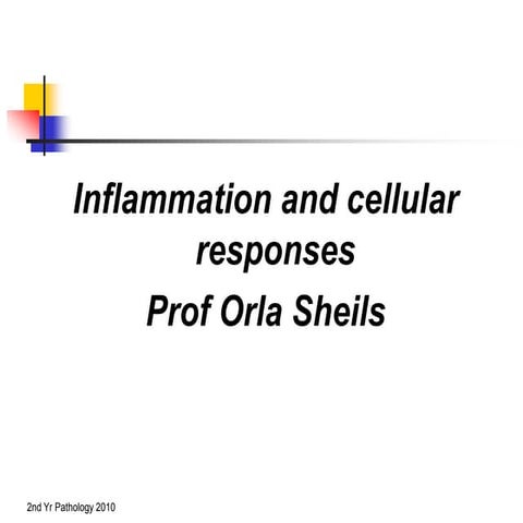 Inflammation-and-repair-lecture.ppt
