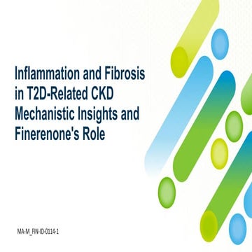 Inflammation in T2D..................pdf