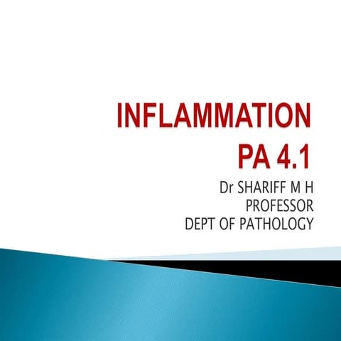 INFLAMMATION PA 4.1.ppt