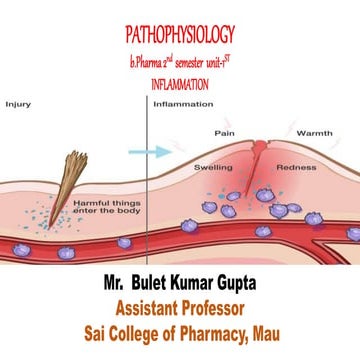 inflammation ppt BKG.pptx Acute & chronic